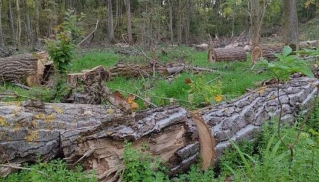 Подршка мреже Пошумимо Војводину грађанима Баваништа.