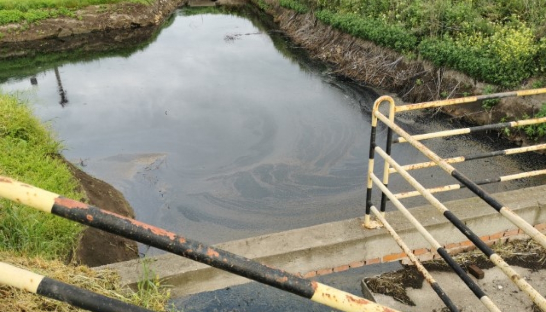 ДА ЛИ СЕ ЛАГУНЕ МОГУ УВАЖИТИ КАО ПРЕЧИСТАЧИ ОТПАДНИХ ВОДА!?