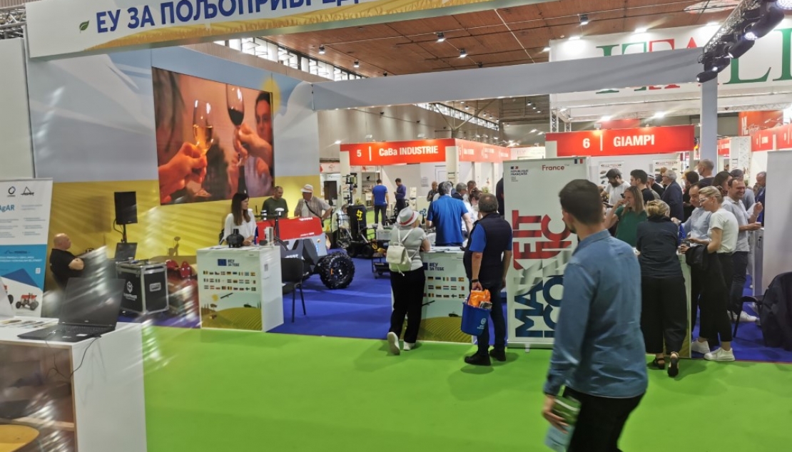 ЗДРАВО ЗЕМЉИШТЕ, КАКО СИ?