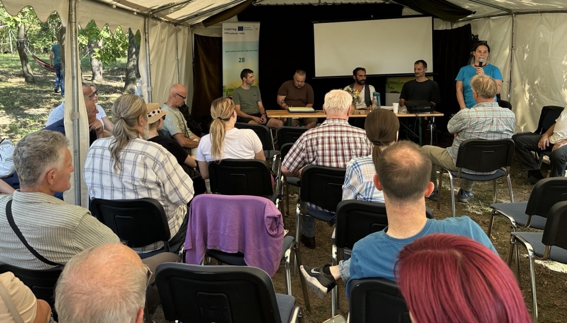 ПОГЛЕД ИЗ КОМШИЈСКИХ ЦИПЕЛА!