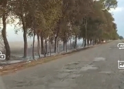 СПАЛИТИ ДРВОРЕД, ПА ЗАОРАТИ ДО ДРУМА!?