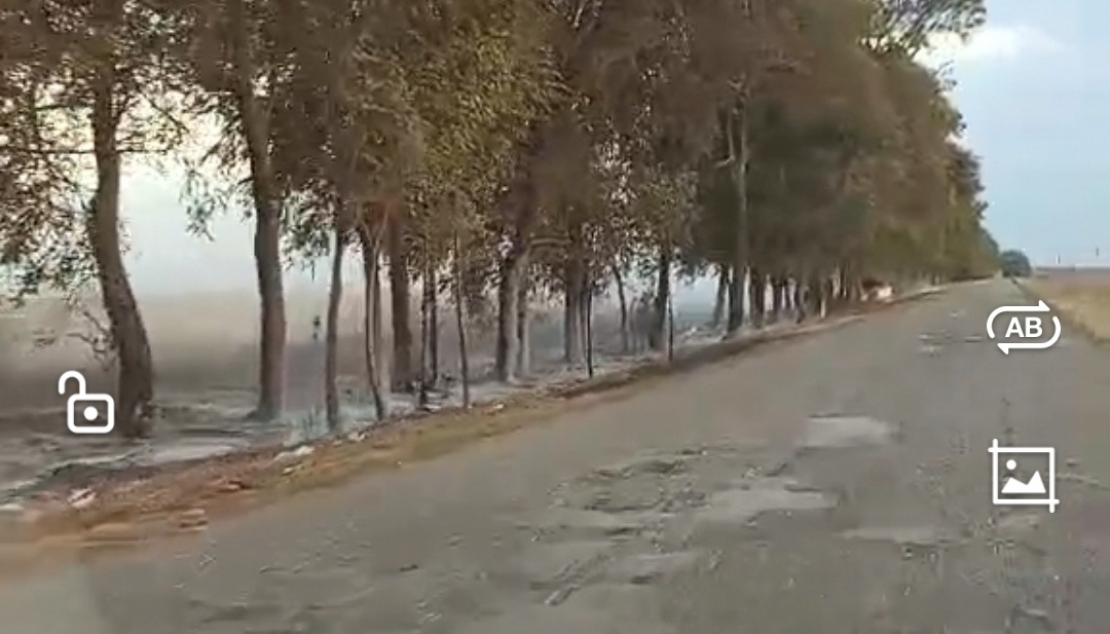 СПАЛИТИ ДРВОРЕД, ПА ЗАОРАТИ ДО ДРУМА!?