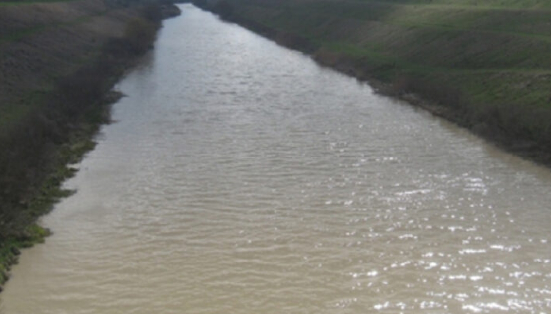 ИРИГАЦИОНИ КАНАЛ ПОСТАО ДЕПОНИЈА ОСОКЕ И ЛЕШИНА!  🛑☣️