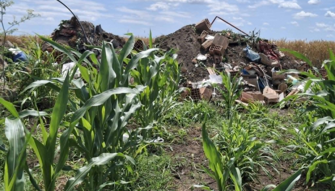 Снага грађанског активизма пред системским проблемима 